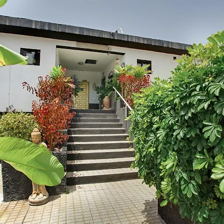 Estudio Universidad En *
