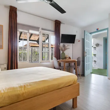 Estudio Universidad En Apartmán La Laguna (Tenerife)